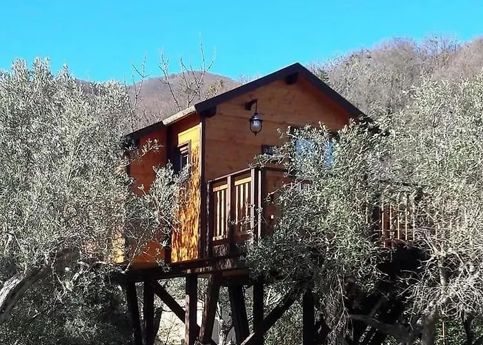 Palazzo Conforti Tree House Resort Marano Marchesato